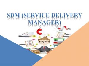 service delivery manager
